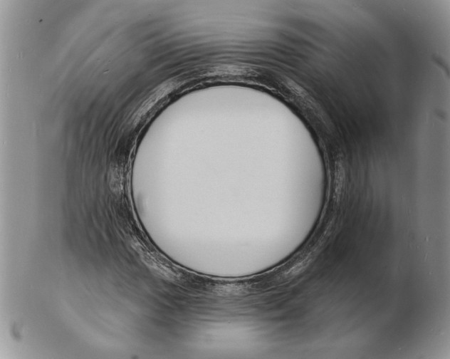 X0000102231017200808221303