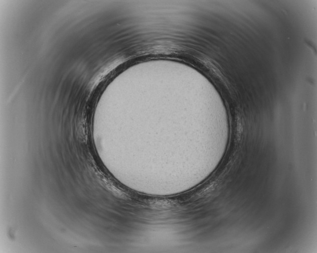 X0000102231018200808221303