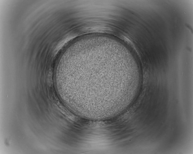 X0000102231019200808221303