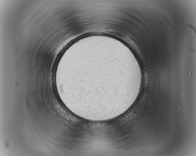 X0000102231020200808221303