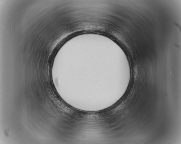 X0000102231021200808221303