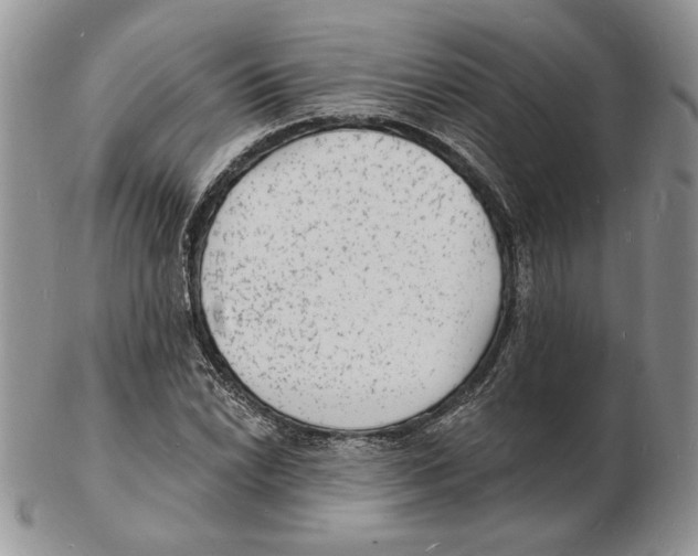 X0000102231022200808221303