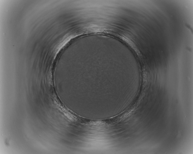 X0000102231023200808221303