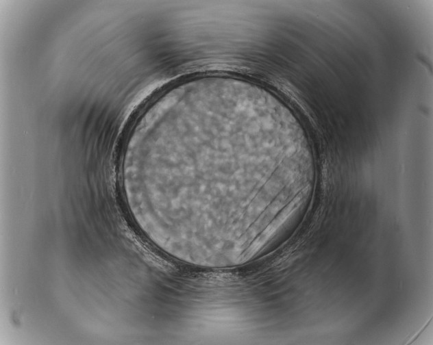 X0000102231024200808221303