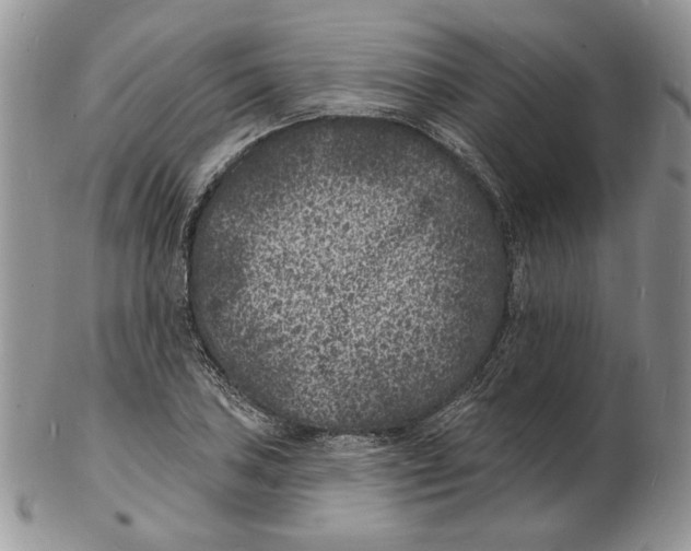 X0000102231027200808221303