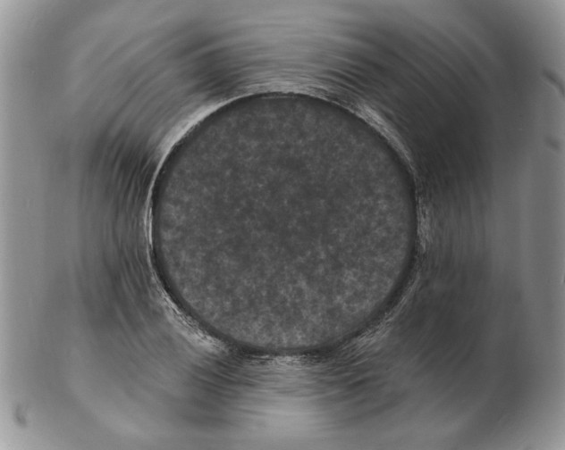 X0000102231028200808221303