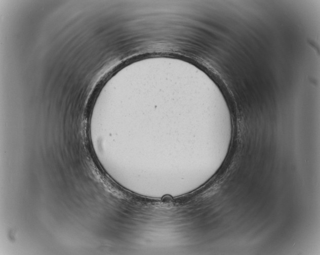 X0000102231029200808221303