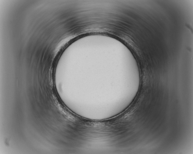 X0000102231030200808221303