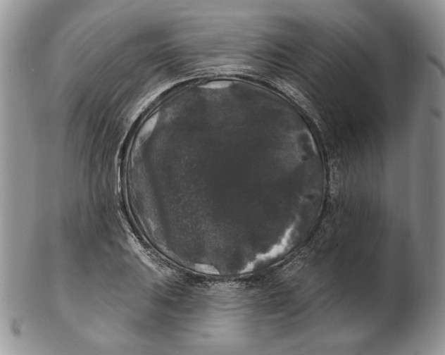 X0000102231031200808221303