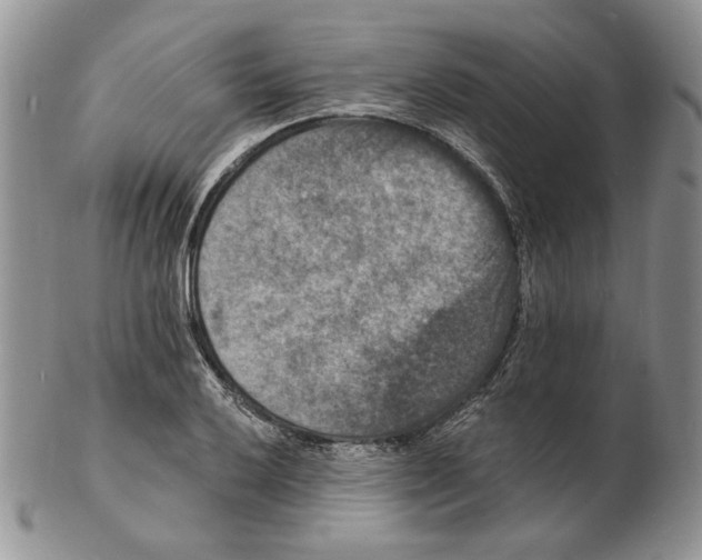 X0000102231032200808221303