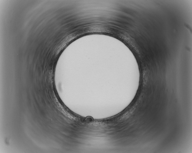 X0000102231033200808221303