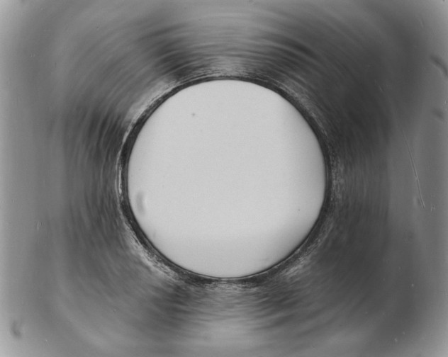 X0000102231034200808221303