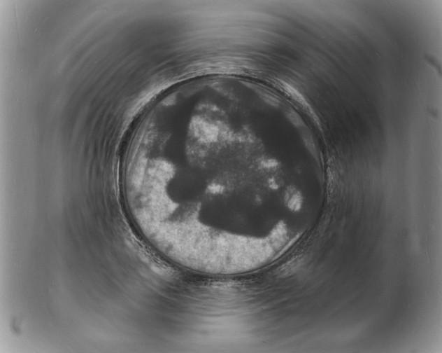 X0000102231035200808221303