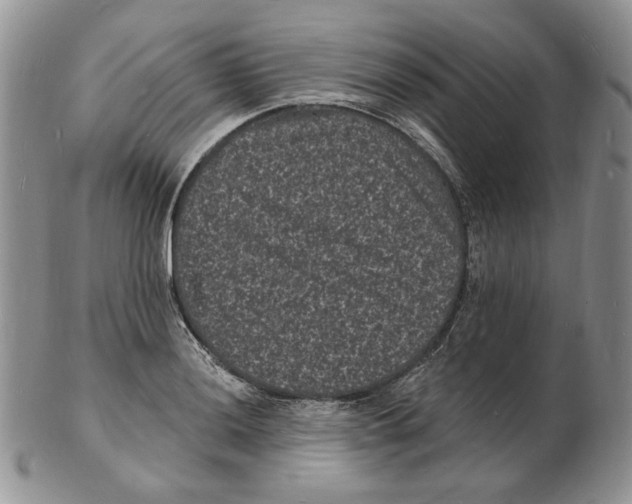 X0000102231036200808221303
