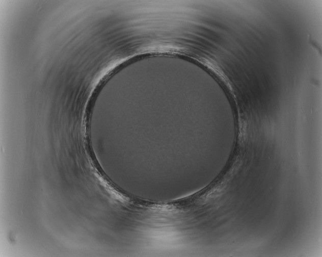 X0000102231037200808221303