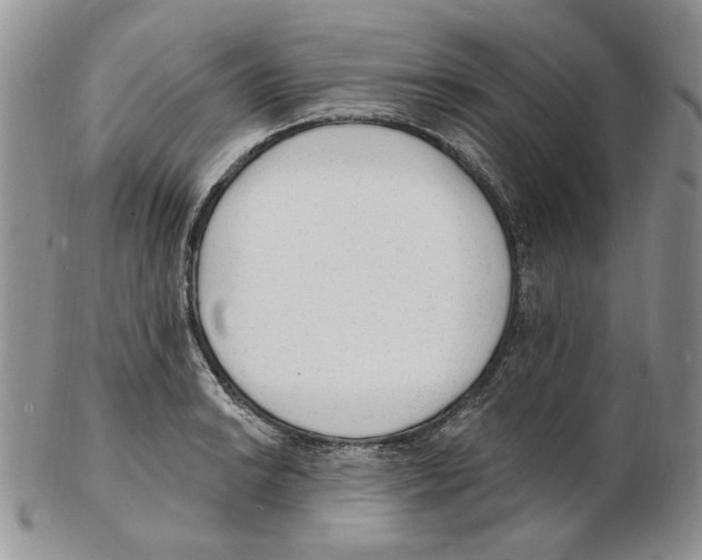 X0000102231038200808221303
