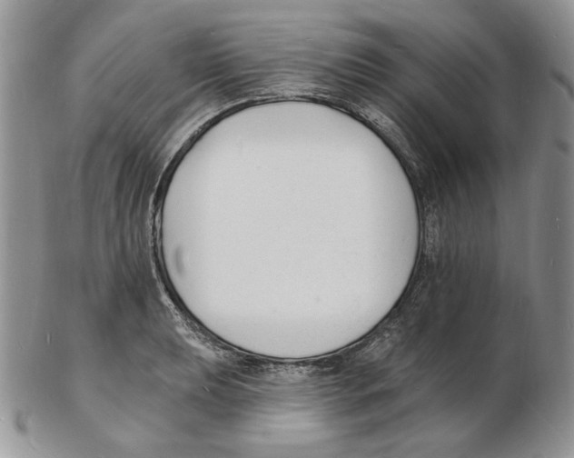 X0000102231039200808221303