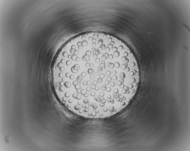 X0000102231040200808221303