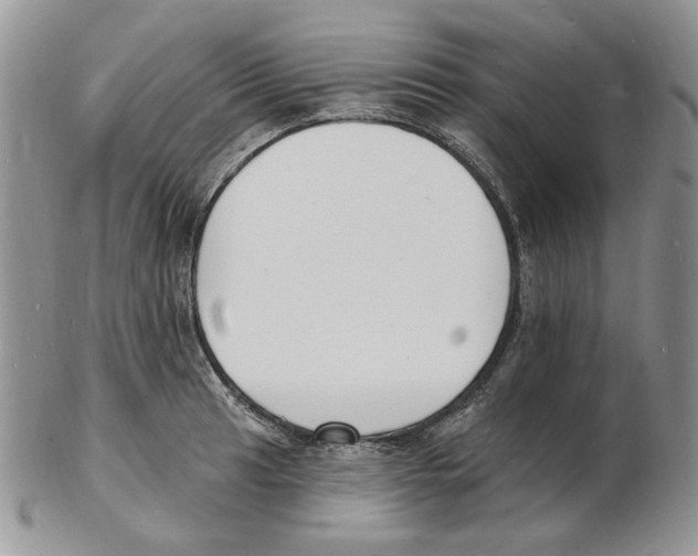 X0000102231041200808221303