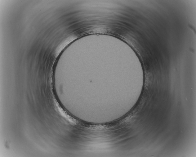 X0000102231042200808221303