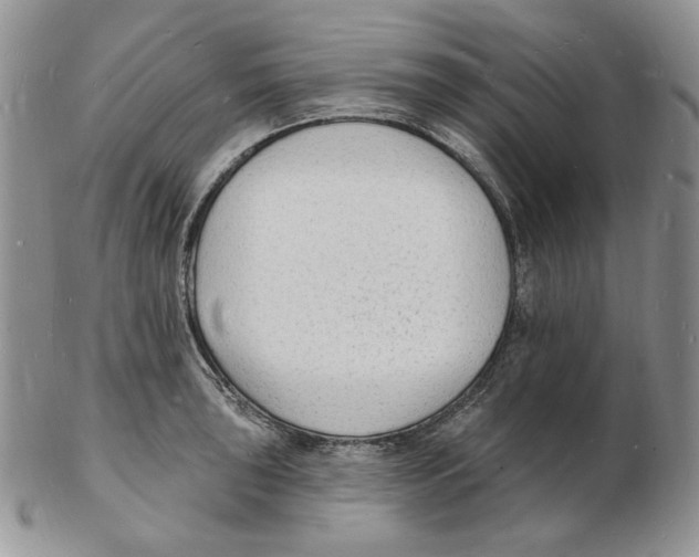 X0000102231043200808221303