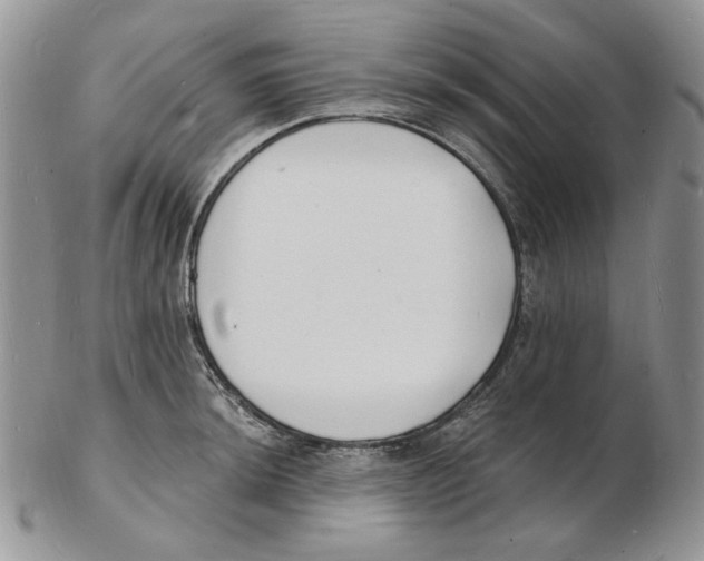 X0000102231044200808221303