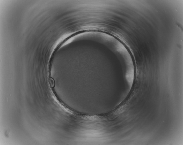 X0000102231045200808221303