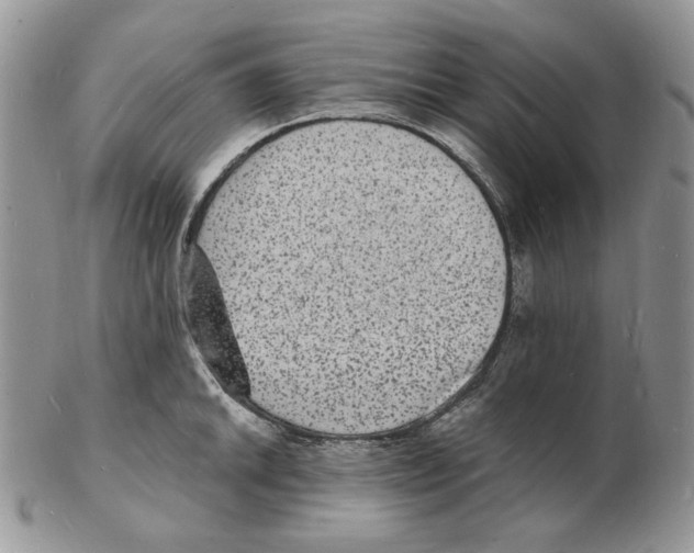 X0000102231046200808221303