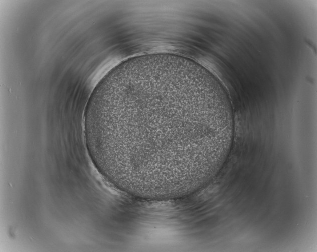 X0000102231047200808221303