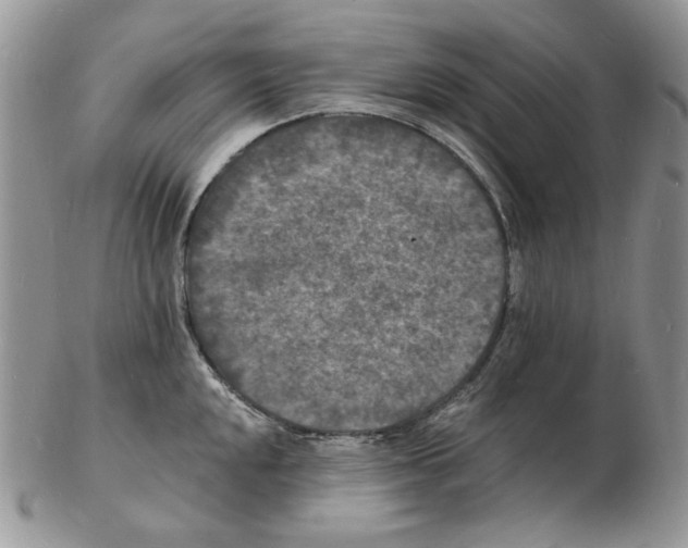 X0000102231048200808221303