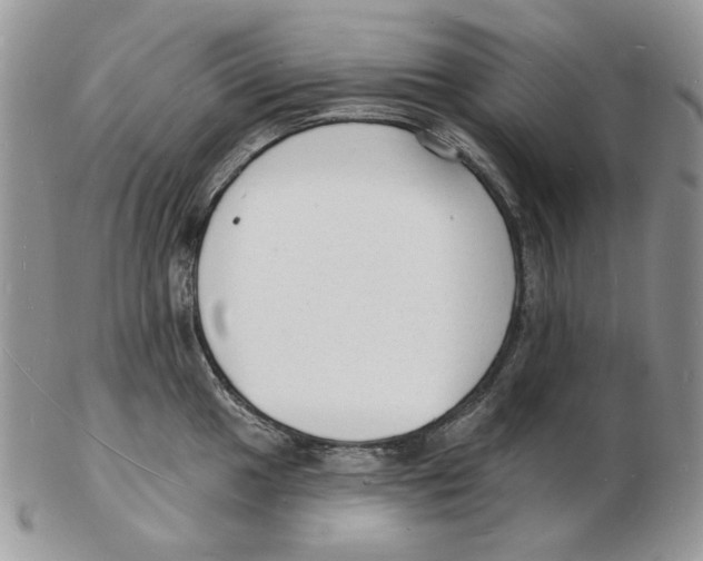 X0000102231049200808221303