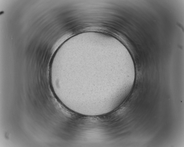 X0000102231050200808221303