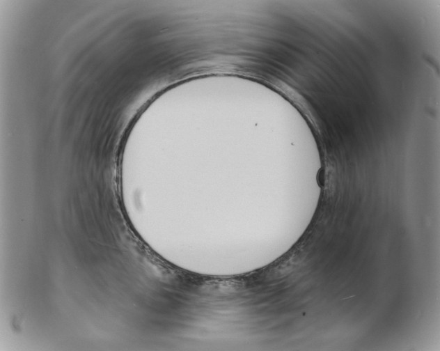 X0000102231051200808221303