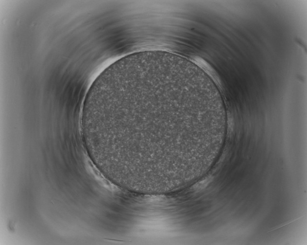 X0000102231052200808221303