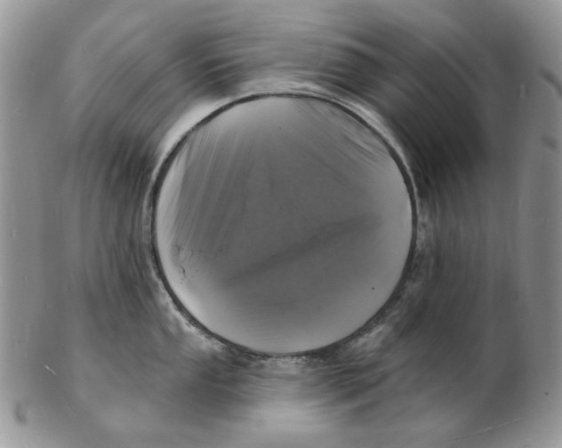 X0000102231053200808221303
