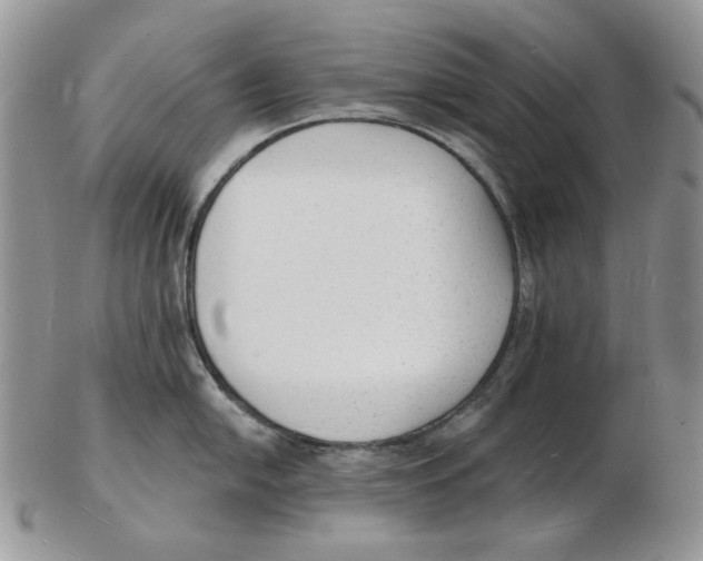 X0000102231054200808221303