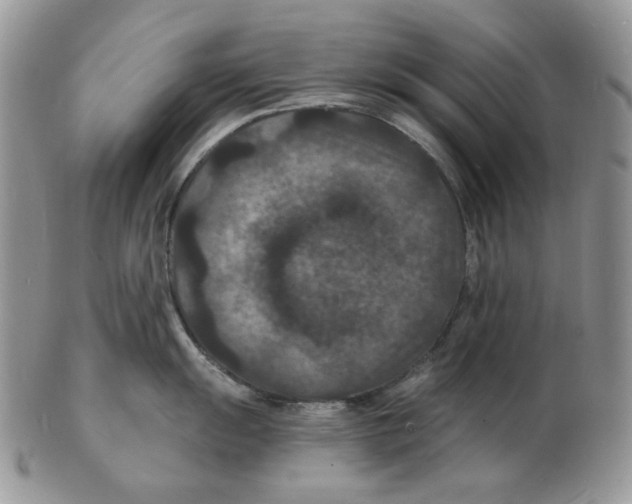 X0000102231055200808221303