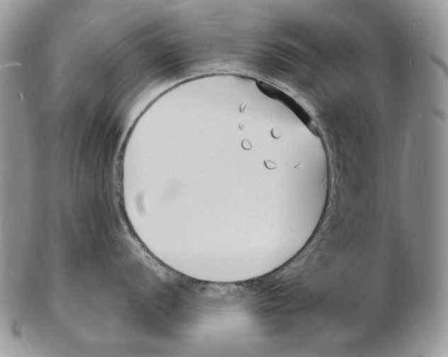 X0000102231056200808221303