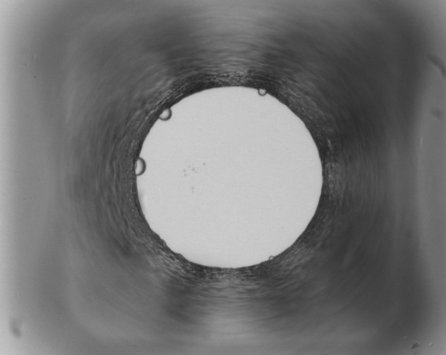 X0000102231057200808221303