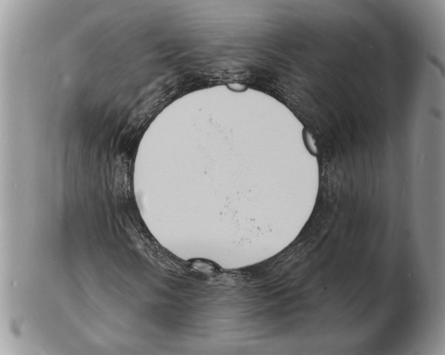 X0000102231058200808221303
