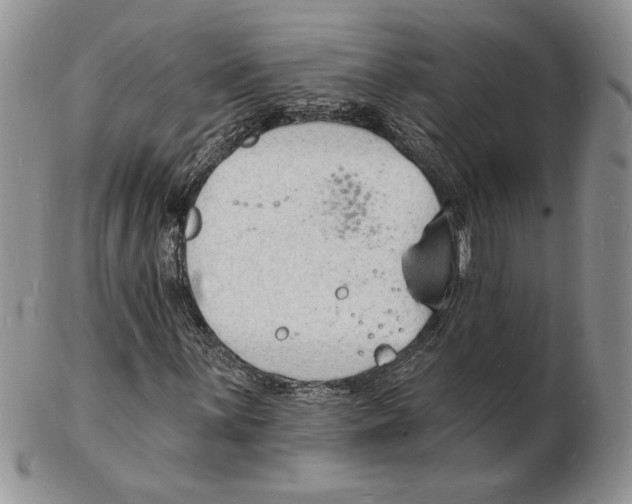 X0000102231059200808221303