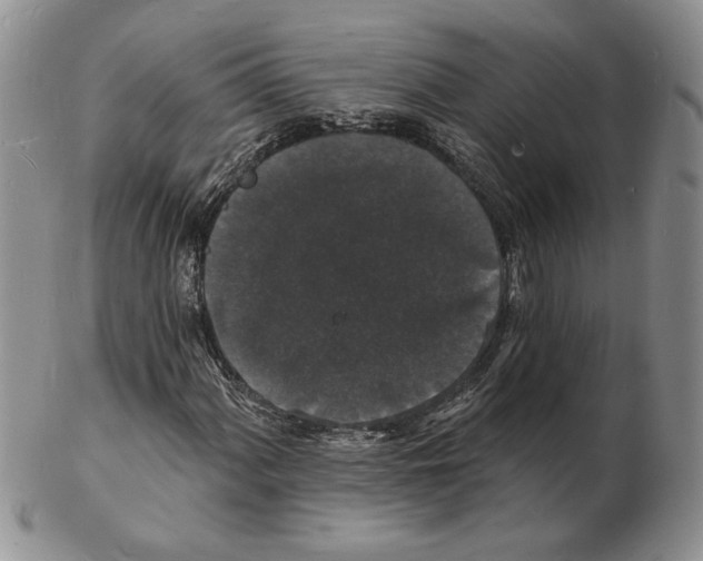 X0000102231060200808221303