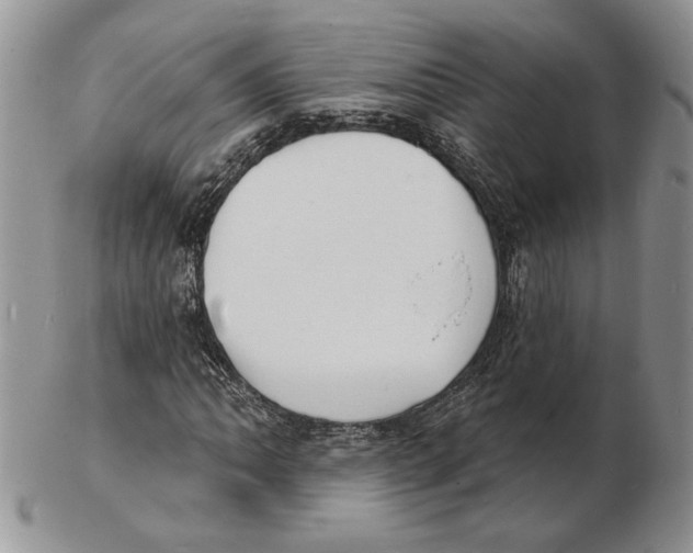 X0000102231062200808221303