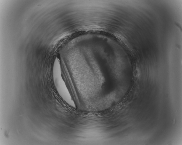X0000102231063200808221303