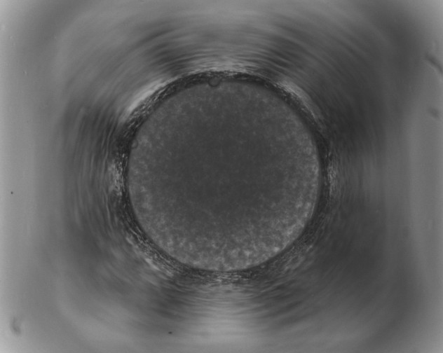 X0000102231064200808221303