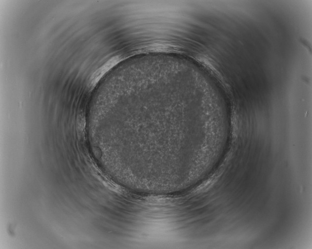 X0000102231065200808221303
