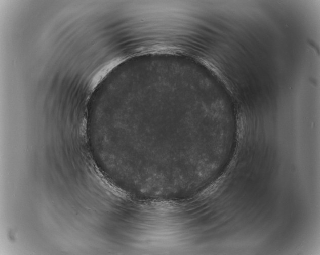 X0000102231066200808221303