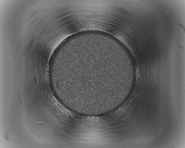 X0000102231068200808221303