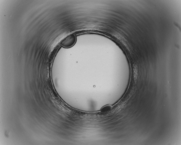 X0000102231069200808221303