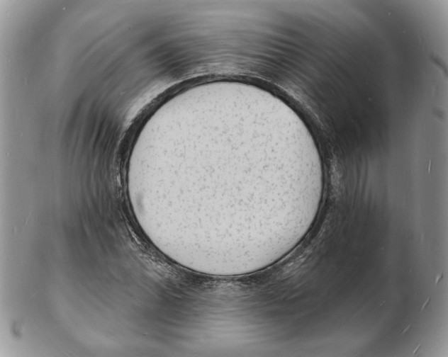 X0000102231070200808221303